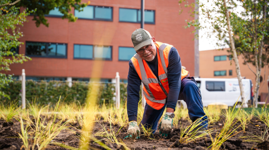 Krinkels Eindhoven afbeelding 2