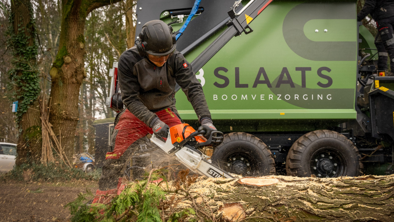 Slaats Boomverzorging B.V. Eindhoven afbeelding 6
