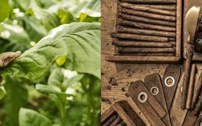 Scandinavian Tobacco Group BV Waalre afbeelding