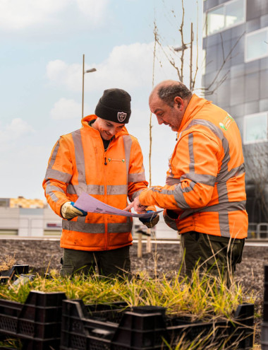 Jos Kanters Groenvoorziening Erp afbeelding 5