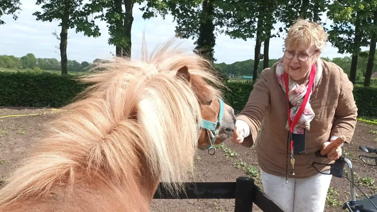 Het Scheiend Oirschot afbeelding 1