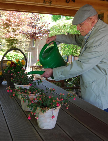 Het Scheiend Oirschot afbeelding 5