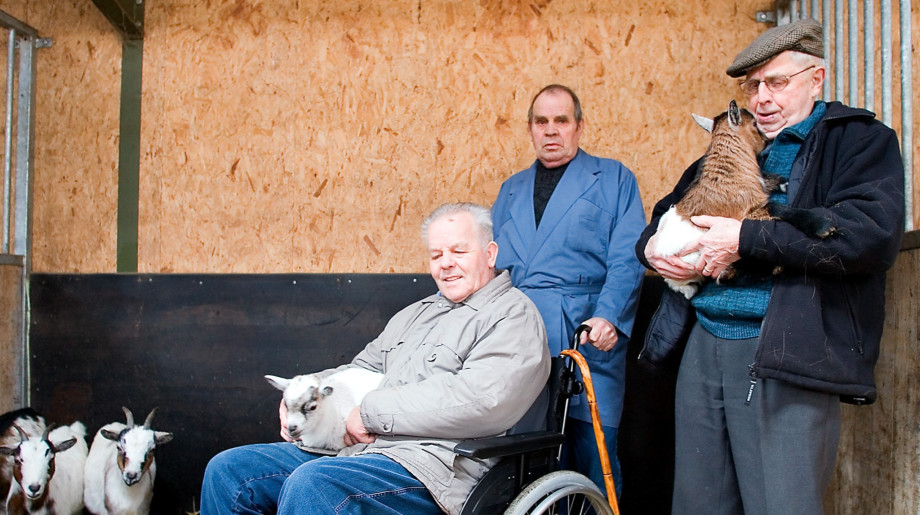 Het Scheiend Oirschot afbeelding 4