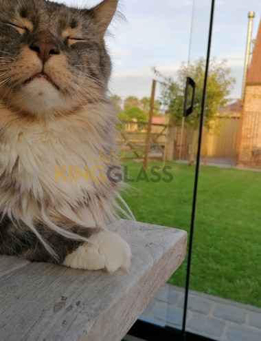 King Glass B.V. Best afbeelding 3