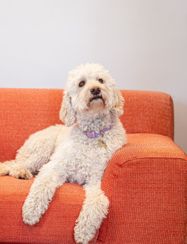 Janssen Aannemers B.V. Moergestel afbeelding 5