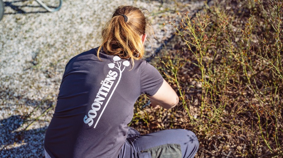 Soontiëns Hoveniers Eindhoven afbeelding 4