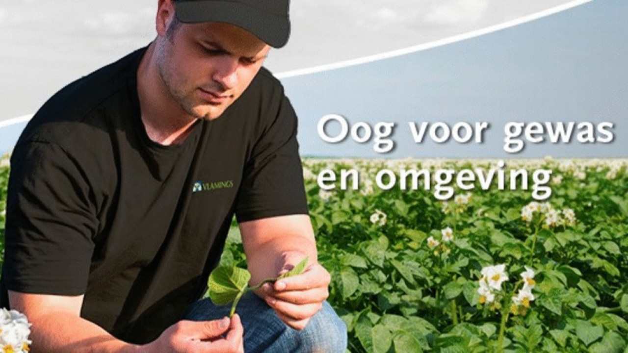 Handelsonderneming Vlamings B.V. Steenbergen afbeelding 6