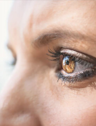 Van Kasteren HR Services Veldhoven afbeelding 3