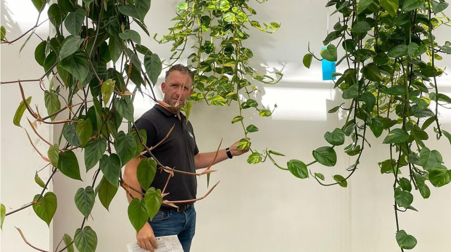 Bloei Interieurbeplanting Eindhoven afbeelding 4