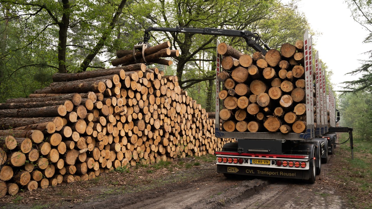 CVL Transport Reusel afbeelding 3