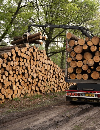 CVL Transport Reusel afbeelding 5 CVL Transport Reusel afbeelding 5