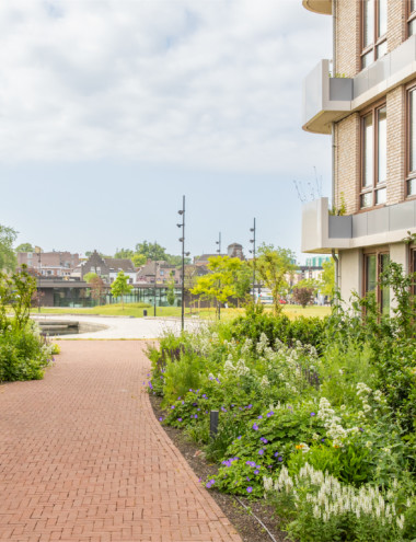 Kultuurtechnisch Hoveniersbedrijf Du Pré B.V. Helmond afbeelding 5