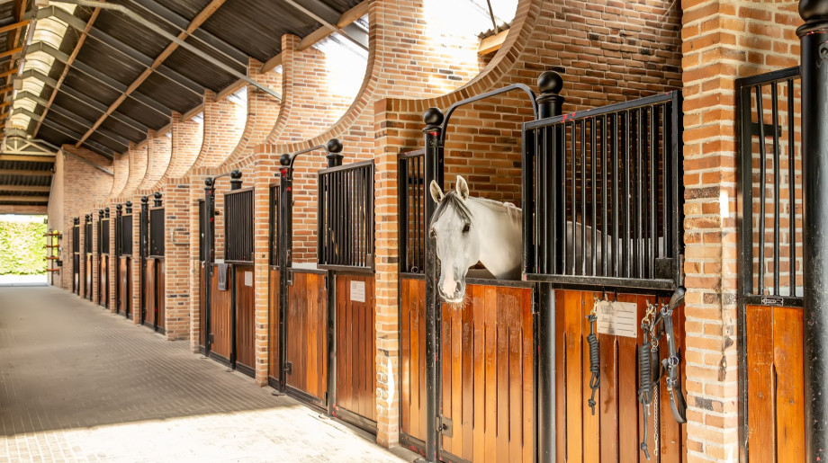 Sorensen Stables EU B.V. Hoogeloon afbeelding 4