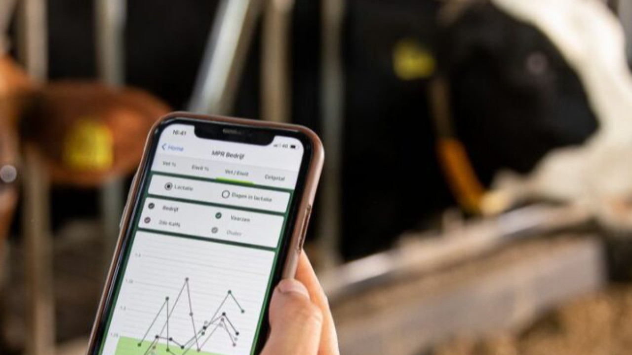 Herbavita B.V. Westerhoven afbeelding 4