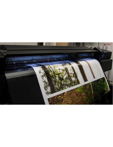 Van Mil & Van Mil bv Oirschot afbeelding 3