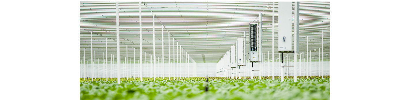 Cogas Climate Control