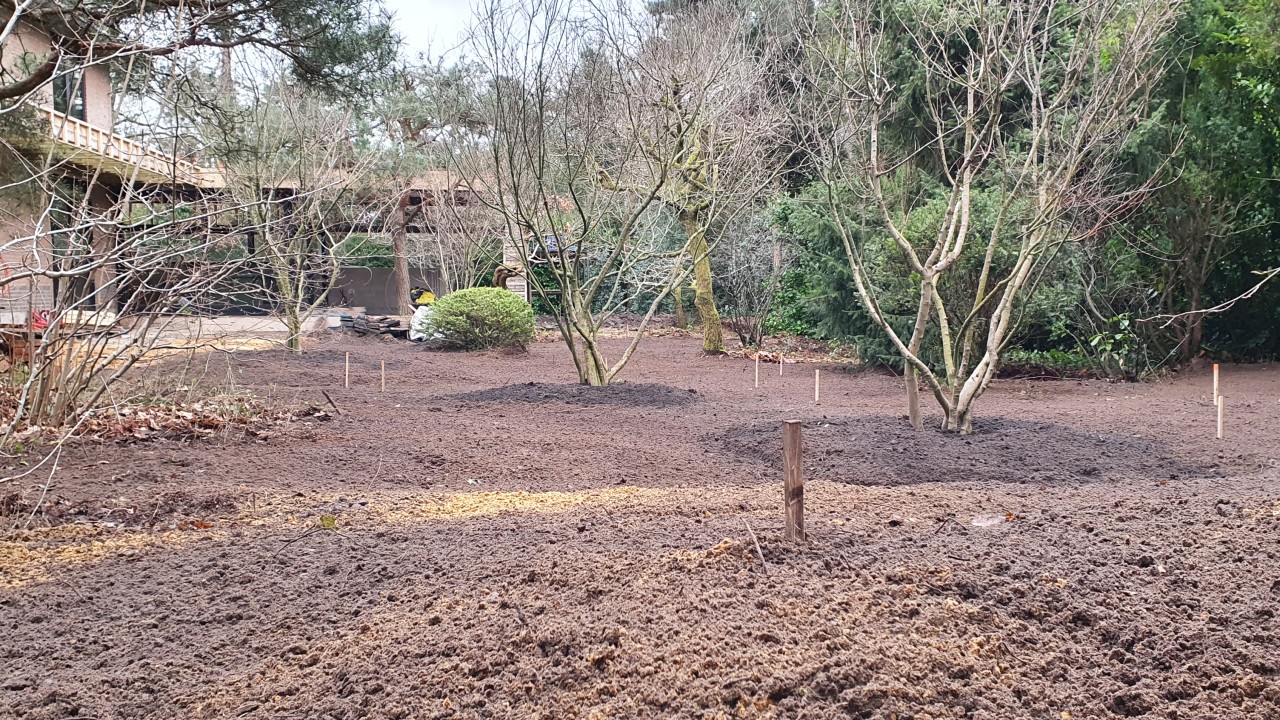 Hoveniersbedrijf Jeroen van Lange Riethoven afbeelding 1