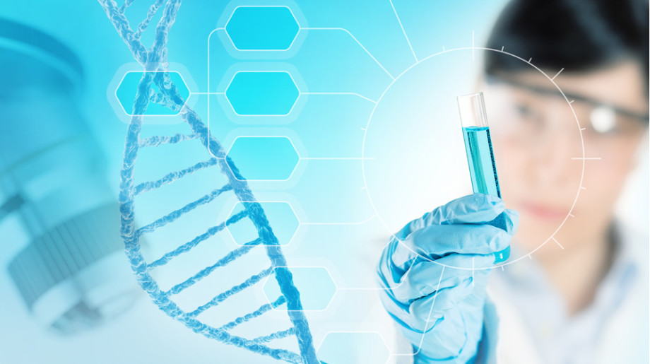 Dechra Bladel afbeelding 4 Dechra Bladel afbeelding 4