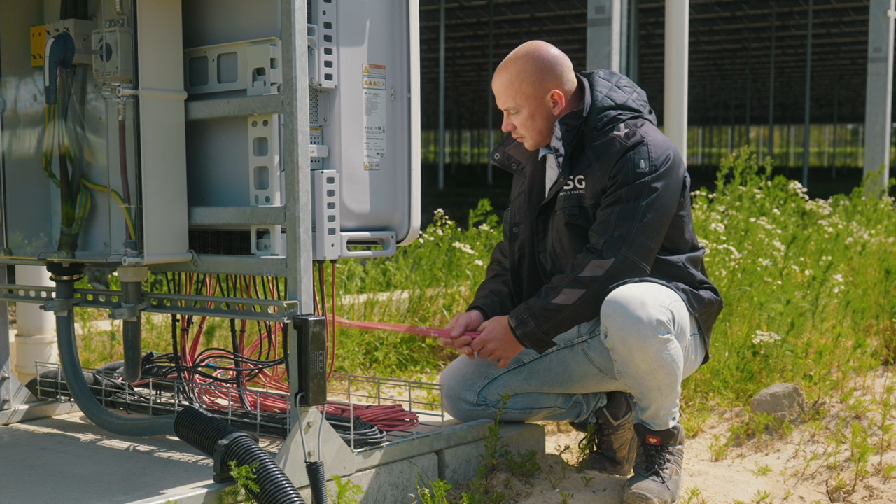 DSG Bladel afbeelding 6 DSG Bladel afbeelding 6