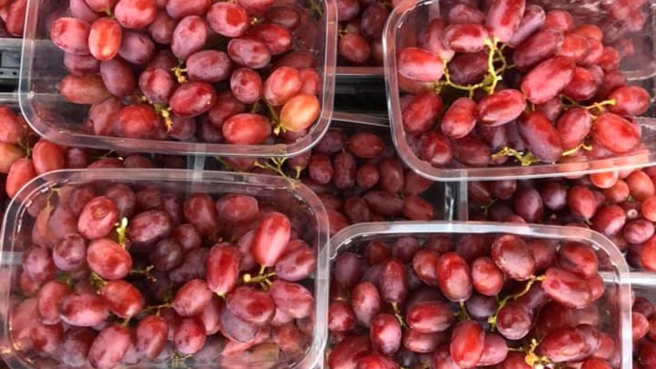 M. Franken Groenten en Fruit Veldhoven afbeelding 1