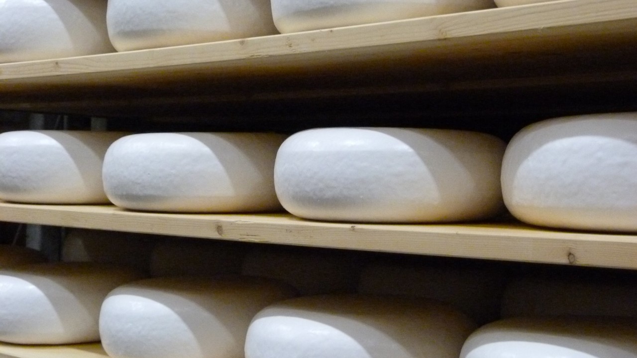 Amalthea BV Rijen afbeelding 1 Amalthea BV Rijen afbeelding 1