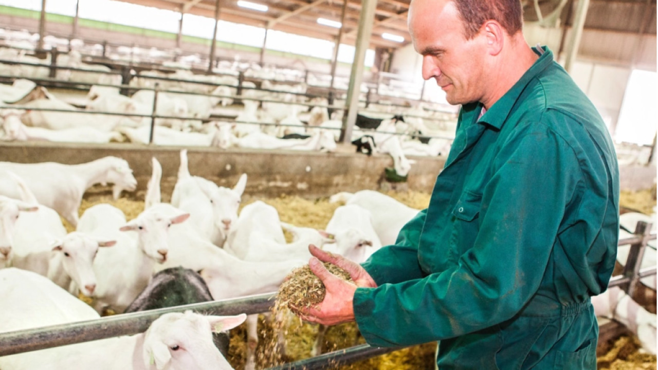 Amalthea BV Rijen afbeelding 6 Amalthea BV Rijen afbeelding 6