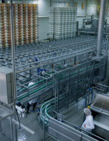 Amalthea BV Rijen afbeelding 5 Amalthea BV Rijen afbeelding 5