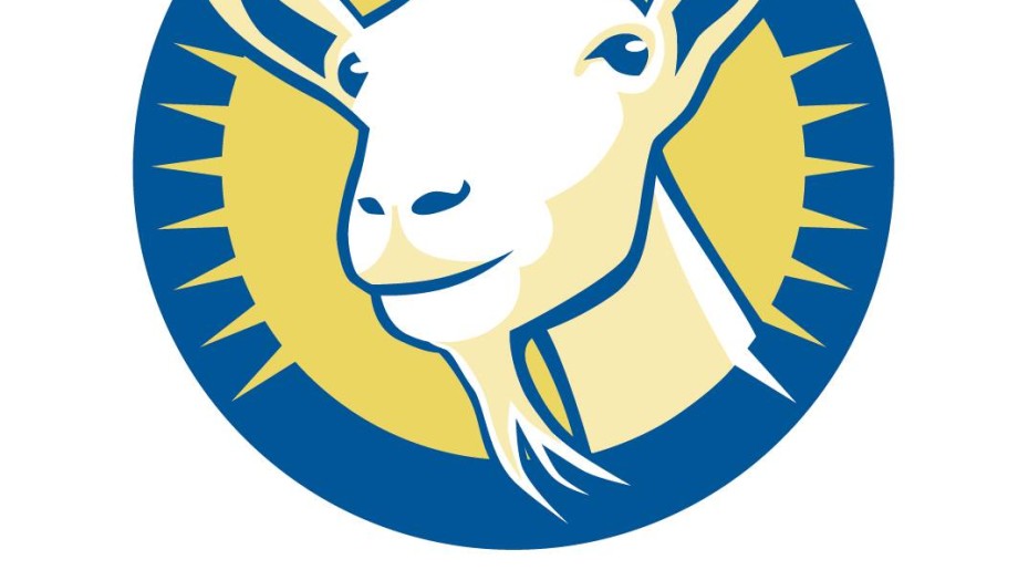 Amalthea BV Rijen afbeelding 2 Amalthea BV Rijen afbeelding 2