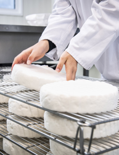 DeJong Cheese Alphen (NB) afbeelding 5