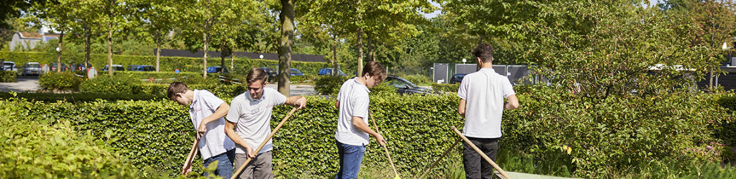 Stage Groenvoorziening