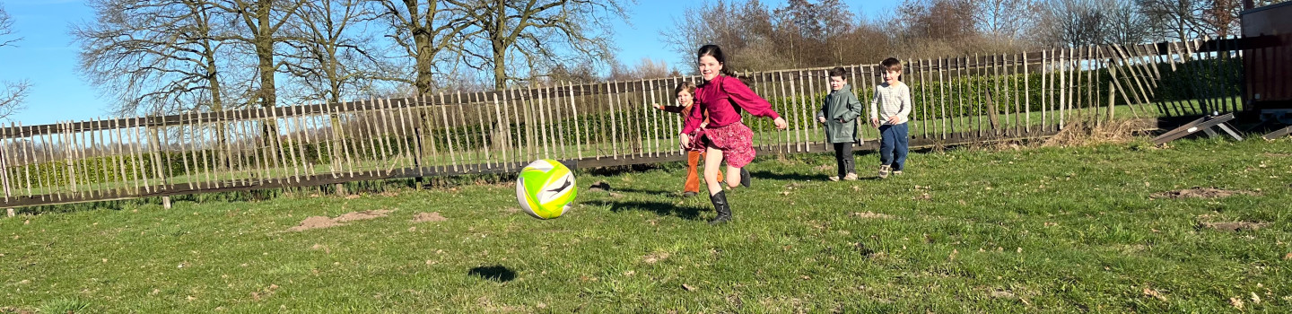 Pedagogisch professional sport/ spel