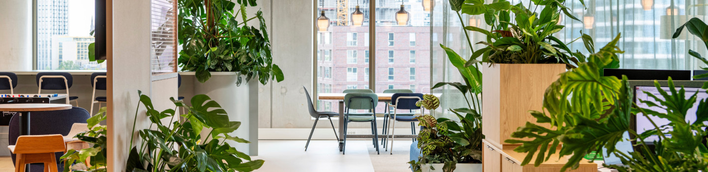 Ervaren Onderhoudsmedewerker Interieurbeplanting – Regio geheel Nederland