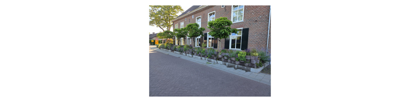 Zelfstandig werkend kok