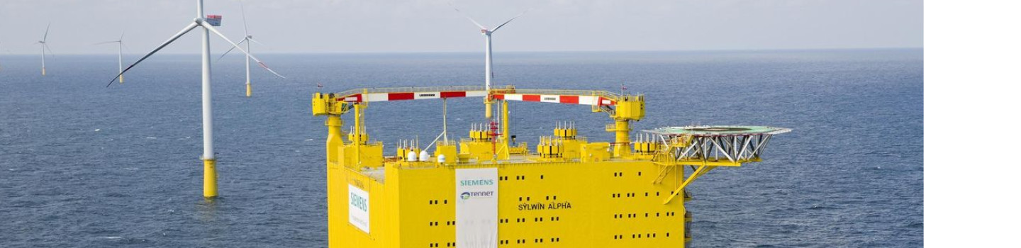 Project Manager (Medior)