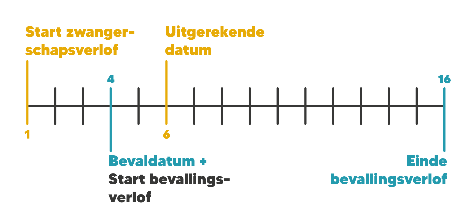 Voorbeeld zwangerschapsverlof Merel