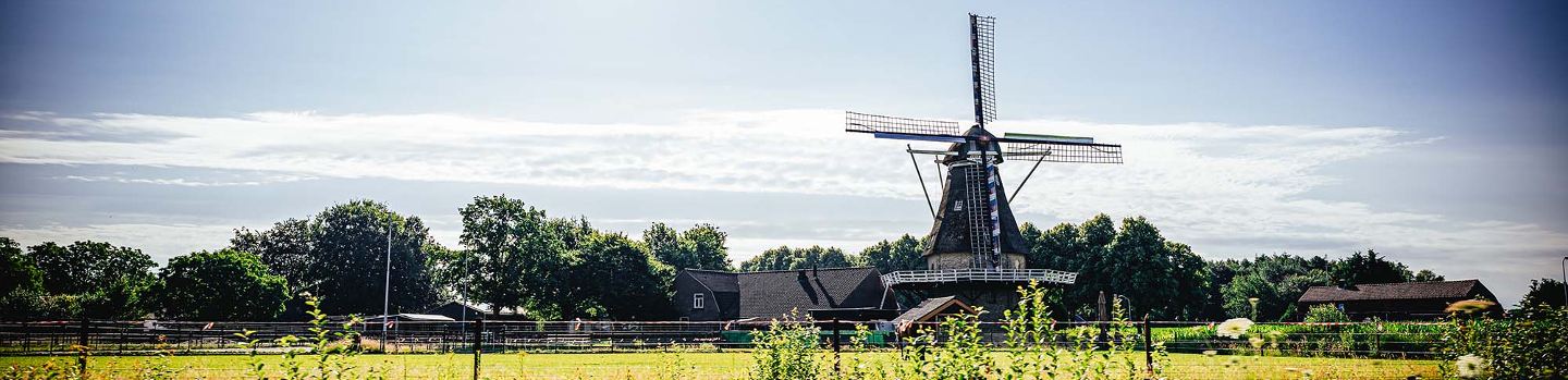 Molen in de Brabantse Kempen